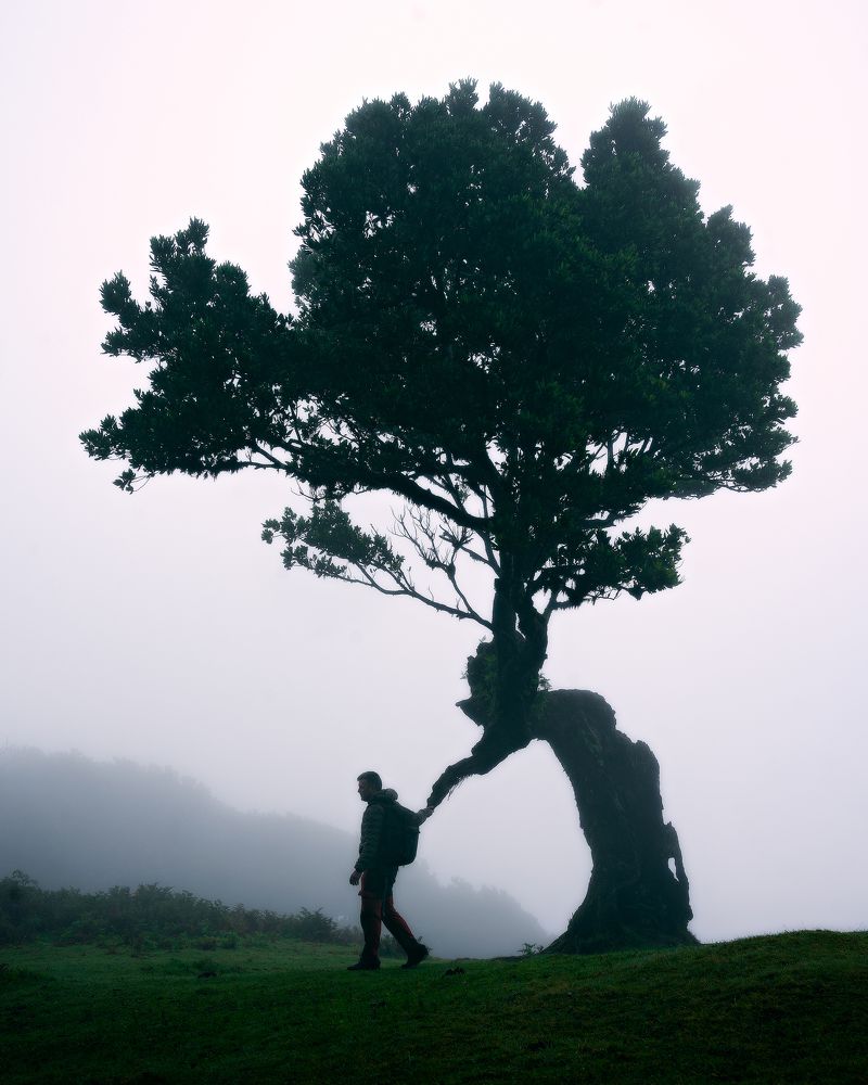 Фотография автора Jorge Rey Azabal