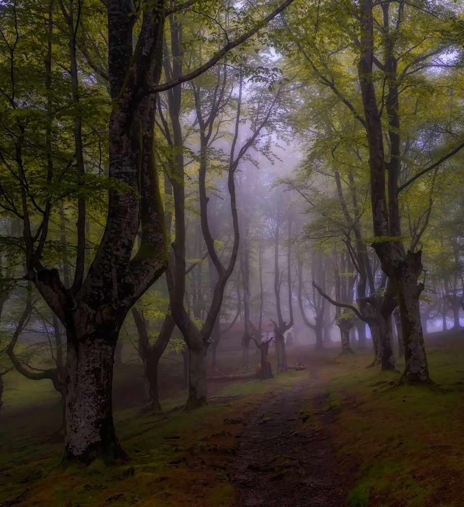 Фотография автора Jorge Rey Azabal