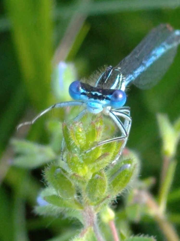 Photograph by Елена Коробченко