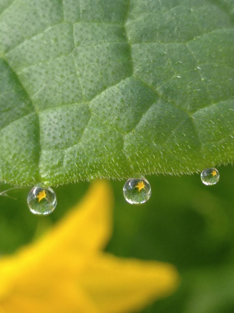 Photograph by Елена Коробченко