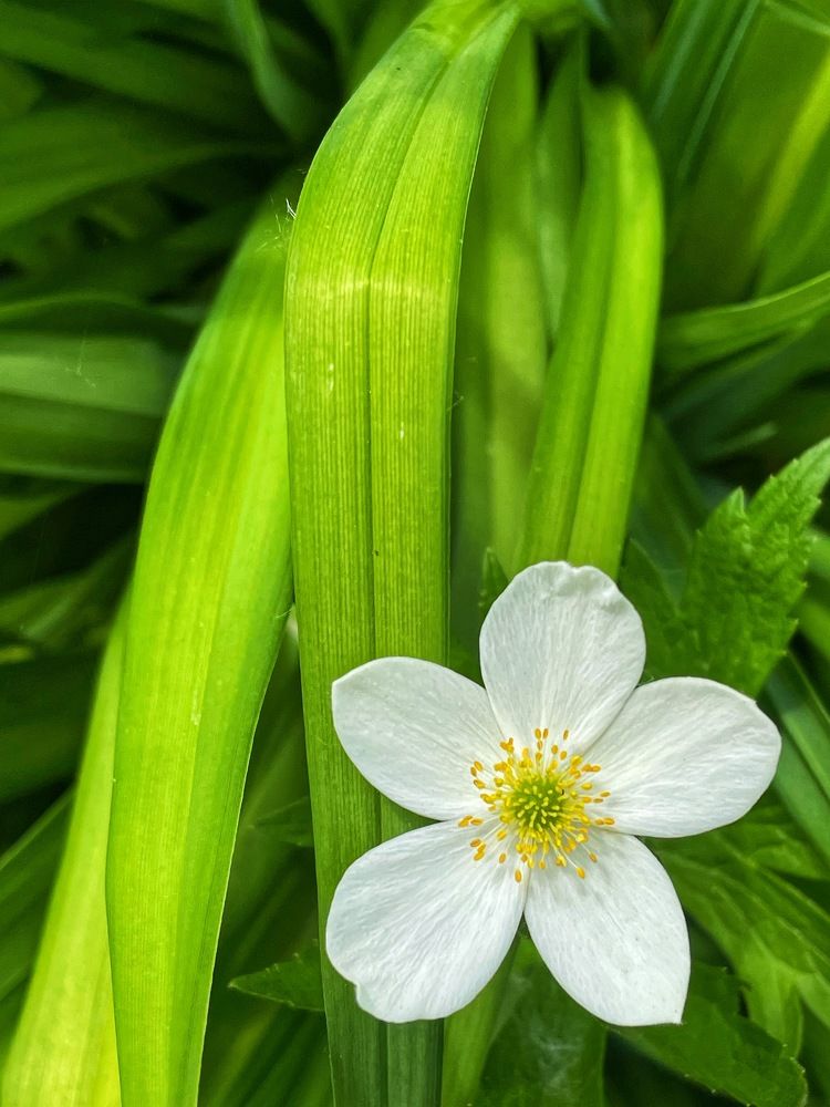 Фотография автора Nadezhda