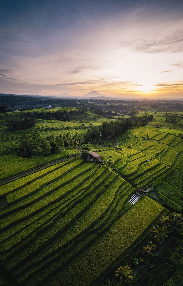 Photograph by Mundo Sem Muros