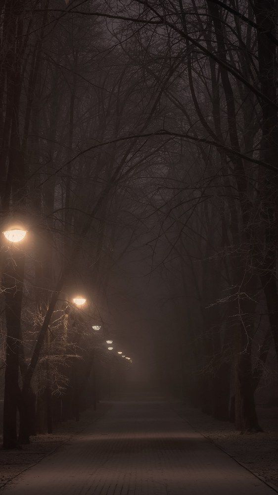 Photograph by Владимир Кульбит