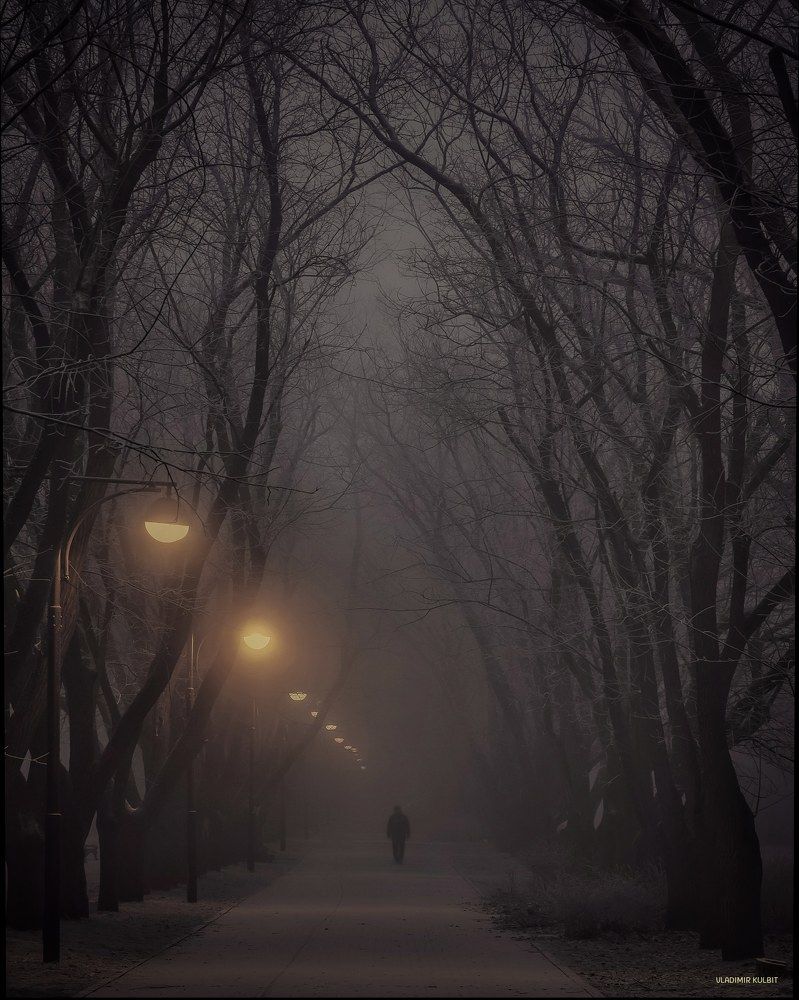 Photograph by Владимир Кульбит