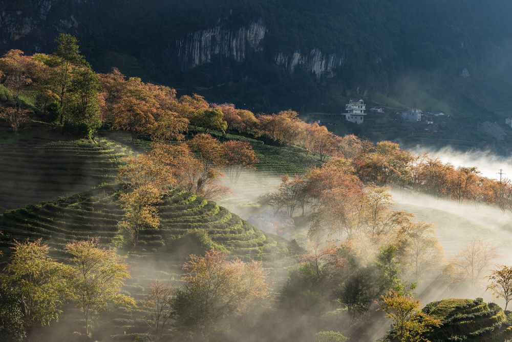 Фотография автора Quan Hung