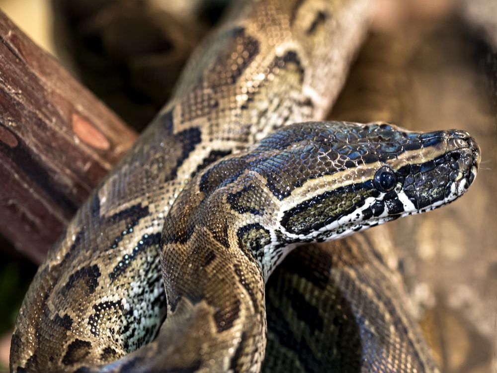 Photograph by Алексей Петров