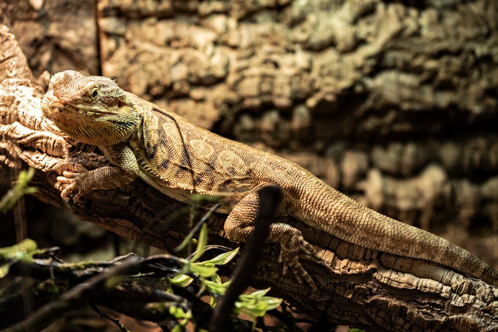 Photograph by Алексей Петров