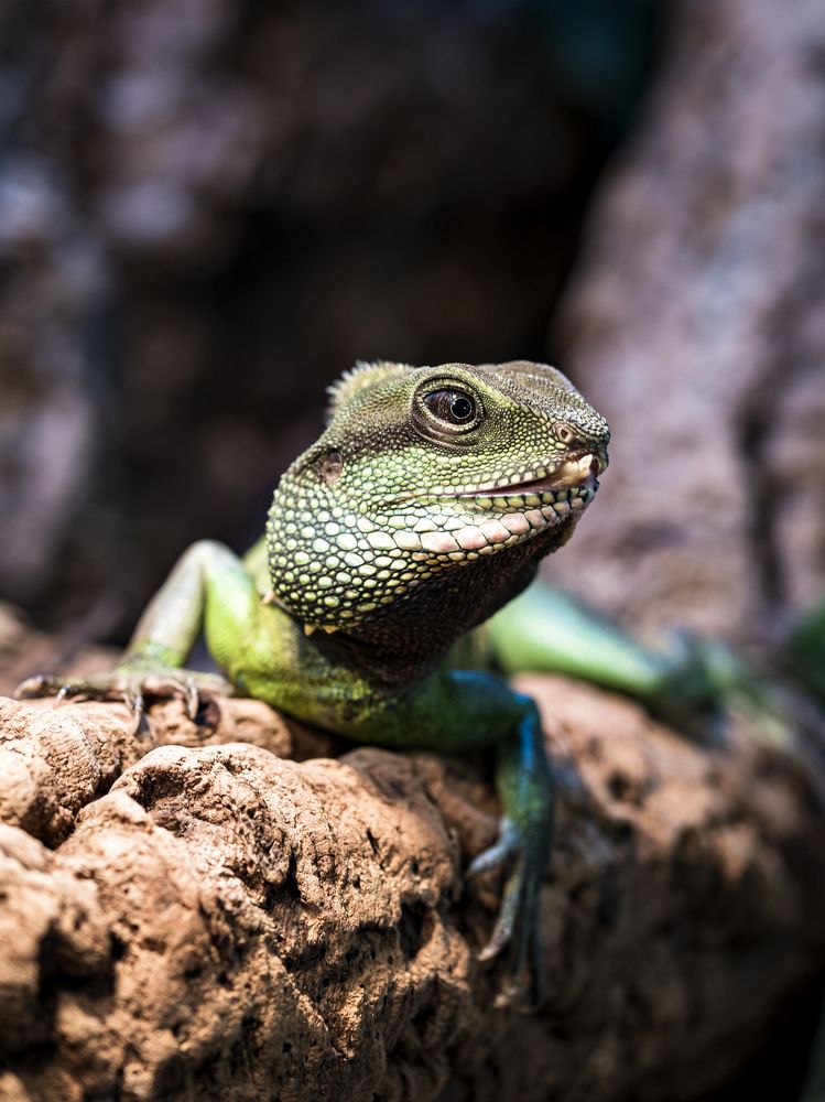 Photograph by Алексей Петров