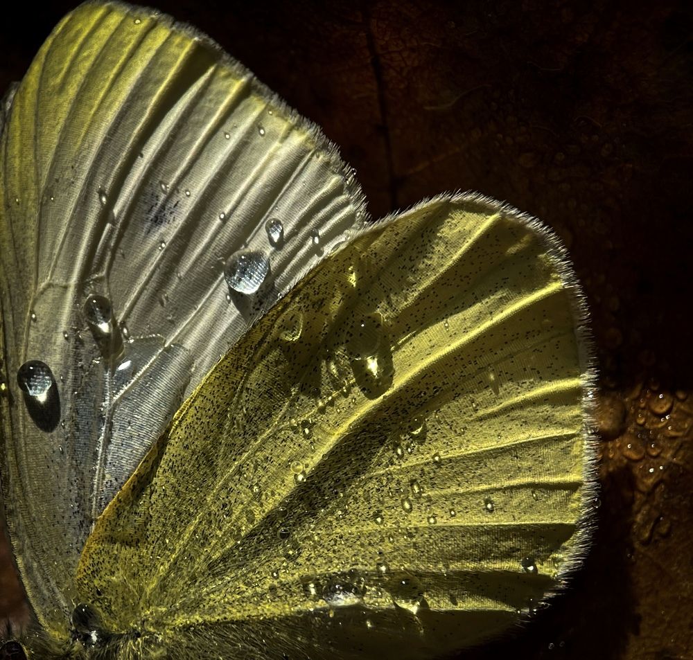 Фотография автора Рамзия Хисамутдинова