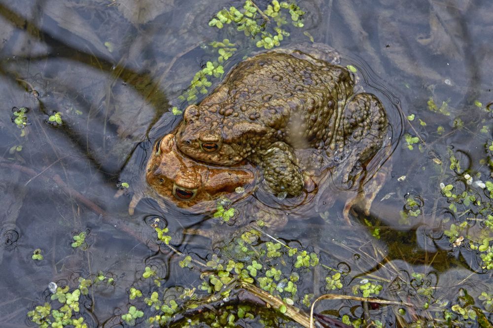 Photograph by Валерий