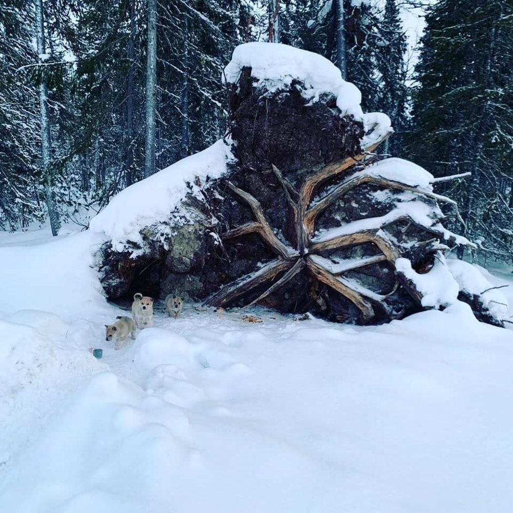 Photograph by Степан Павловский