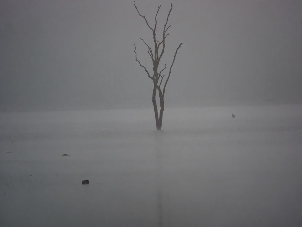 Photograph by Venkat Mangudi