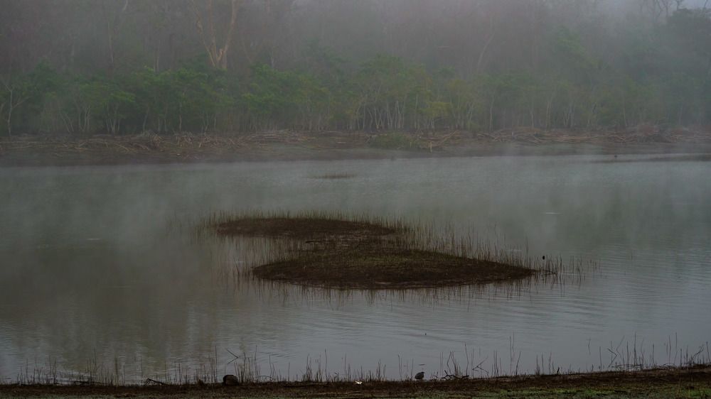 Photograph by Venkat Mangudi