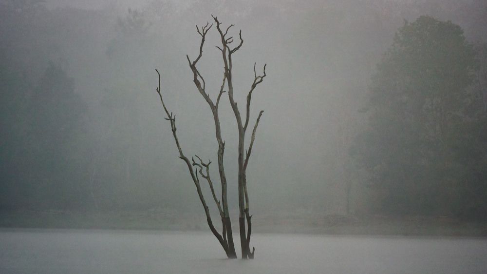 Photograph by Venkat Mangudi