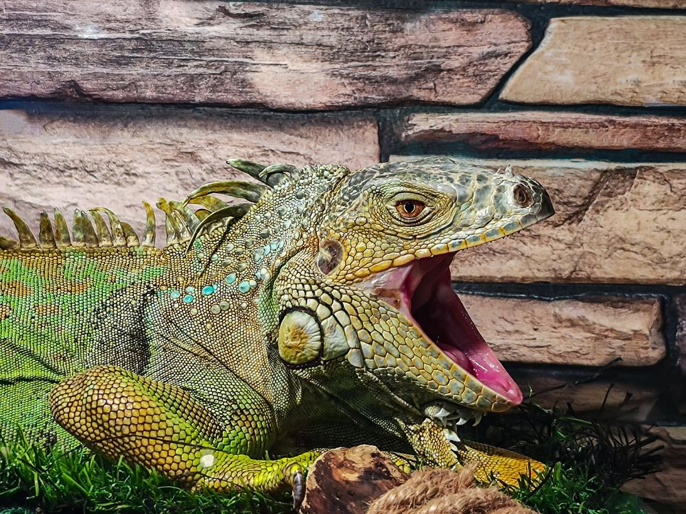 Photograph by Ирина Шибитова