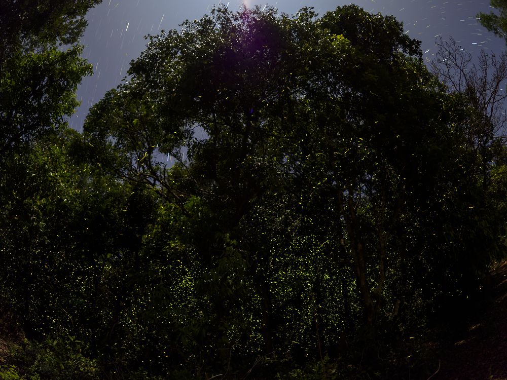 Photograph by Venkat Mangudi