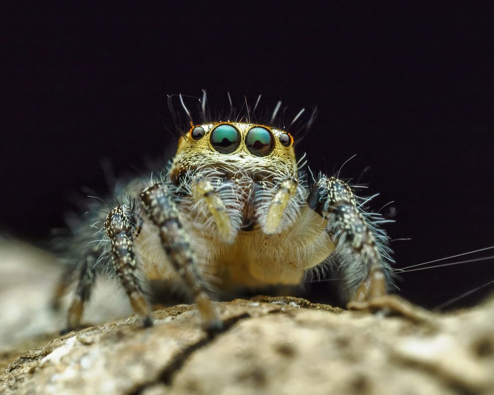 Photograph by Venkat Mangudi