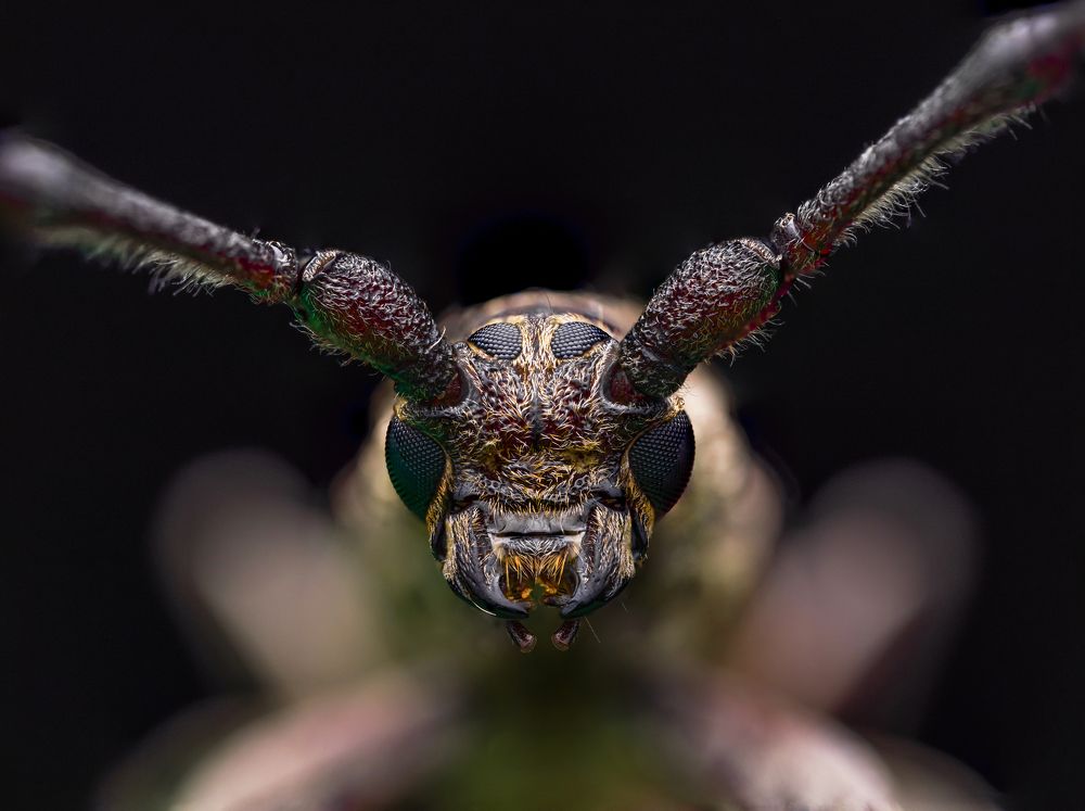 Photograph by Venkat Mangudi