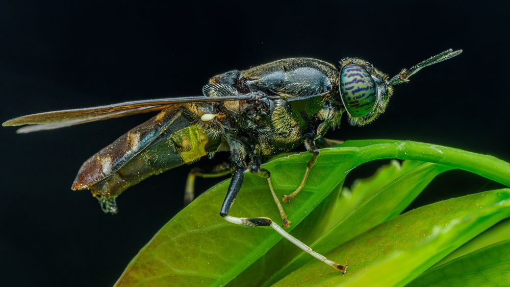 Photograph by Venkat Mangudi