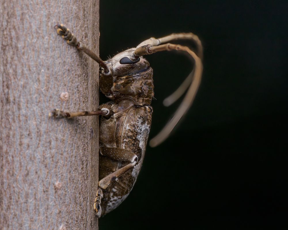 Photograph by Venkat Mangudi