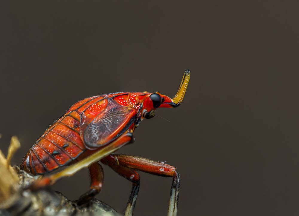 Photograph by Venkat Mangudi