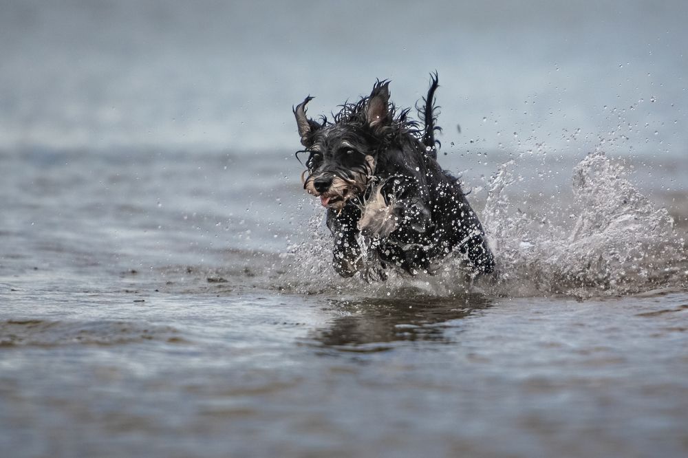 Photograph by Наталья Орел