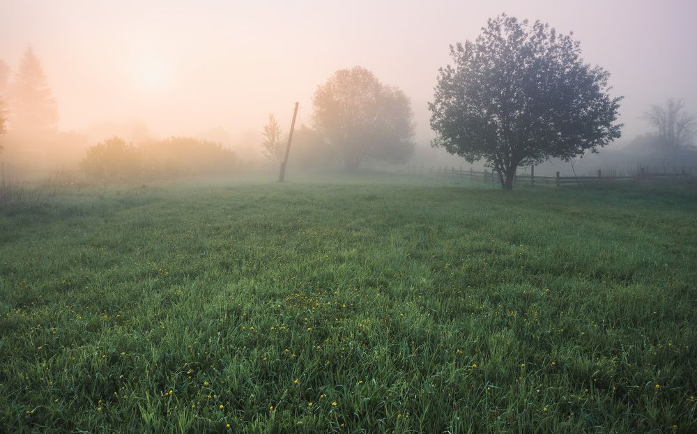 Photograph by Зеленько Дмитрий