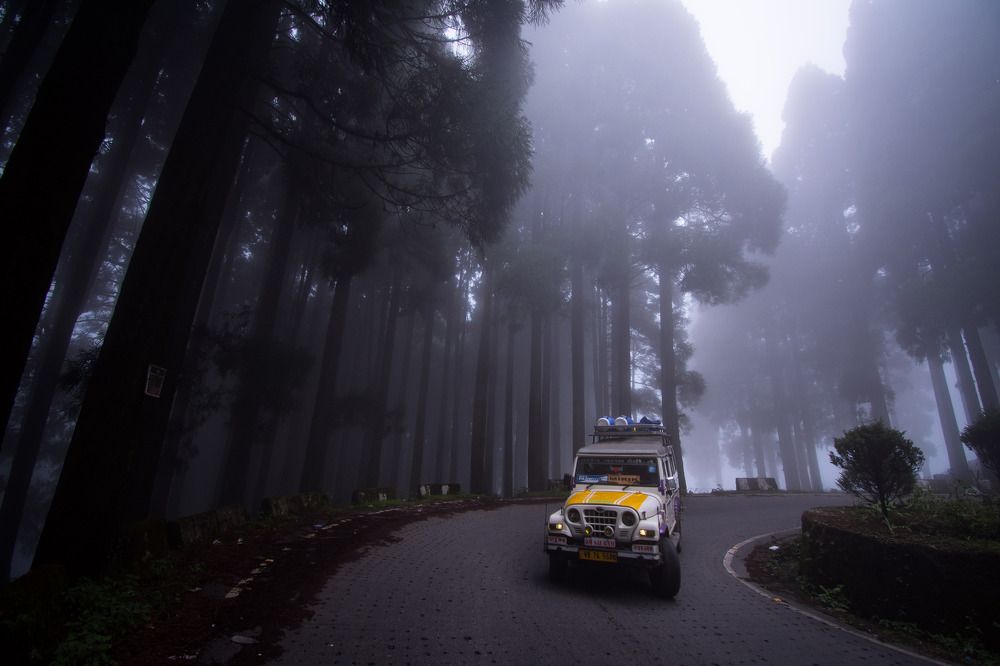 Фотография автора Dipayan Debbarma