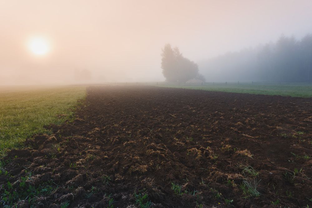 Photograph by Зеленько Дмитрий