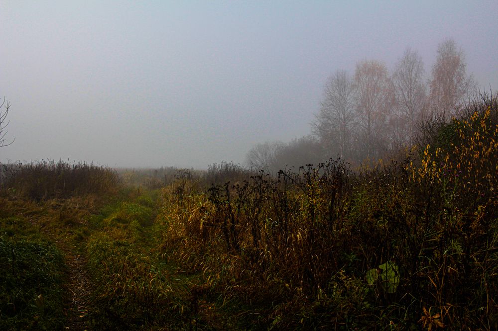 Photograph by Алексей