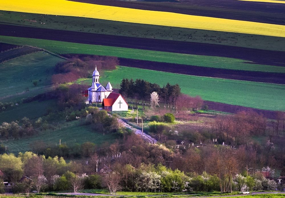 Фотография автора Flegner Calin