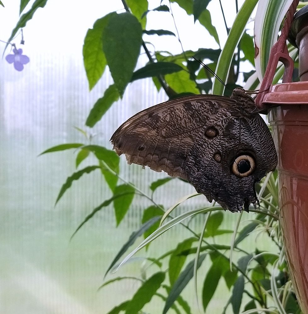 Photograph by Pjotr Alekseev