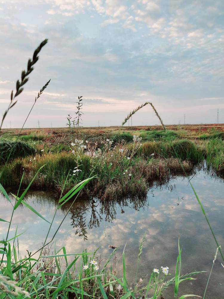 Photograph by Степан Павловский