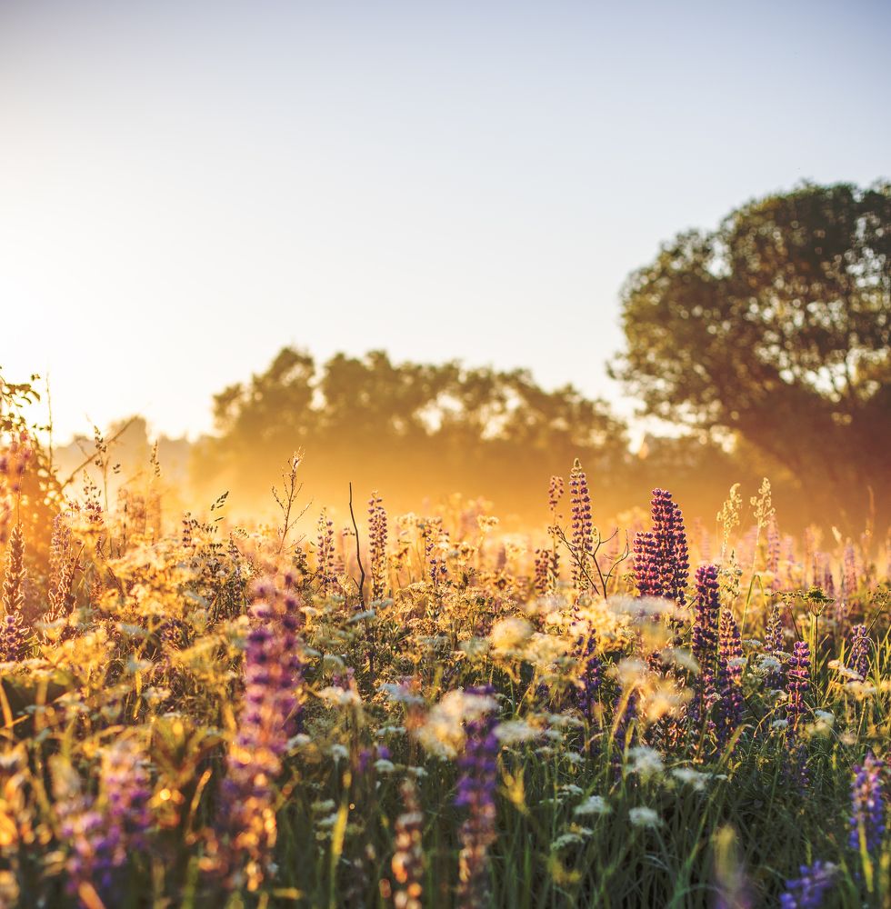 Photograph by Ирина Тынянкина