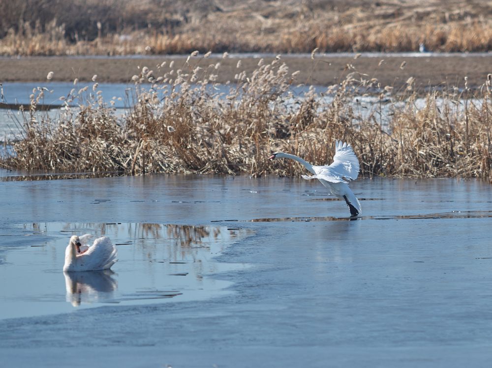 Фотография автора Антон Петров