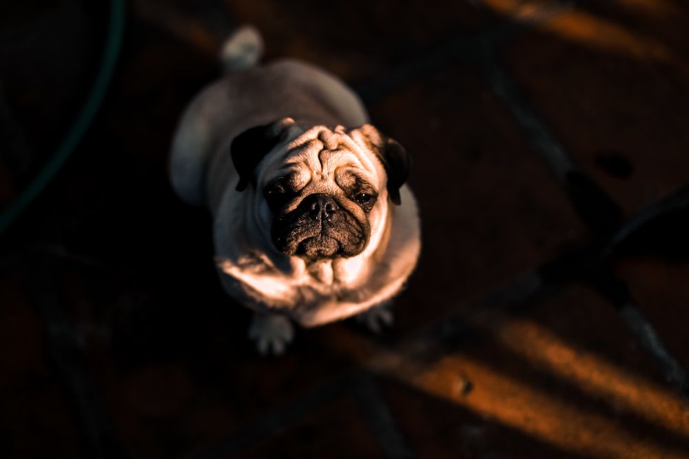 Фотография автора Bùi Nguyễn