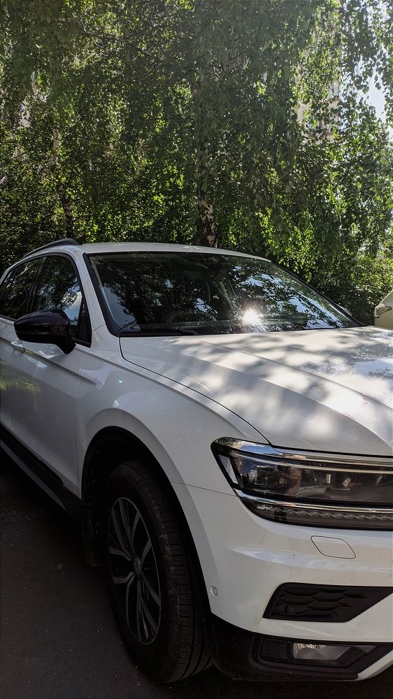 Фотография автора Васильева Ирина