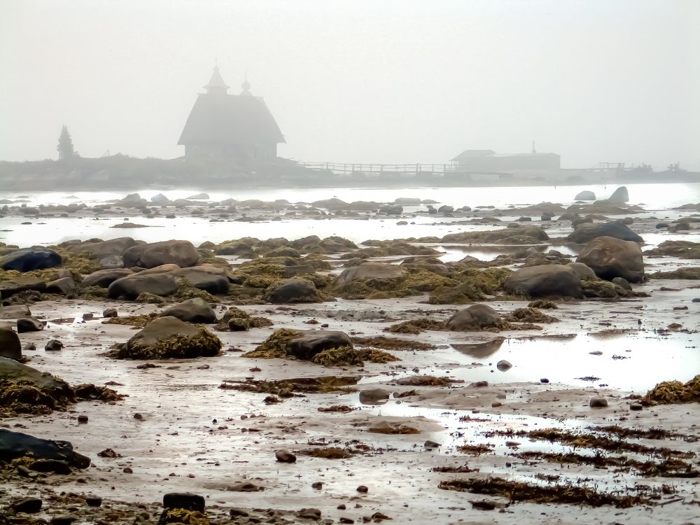 Photograph by Ирина Тынянкина