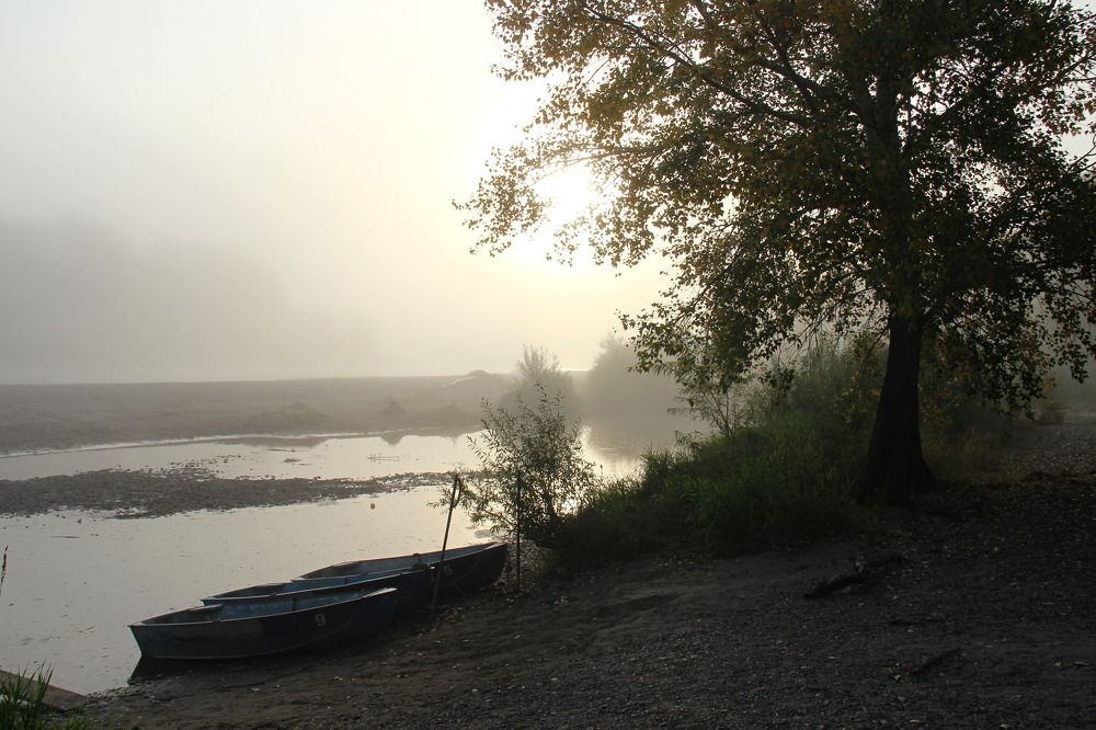 Photograph by Ирина Латынцева