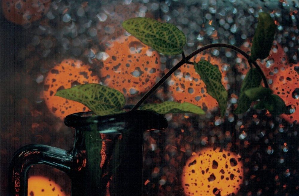 Photograph by Глеб Мацак