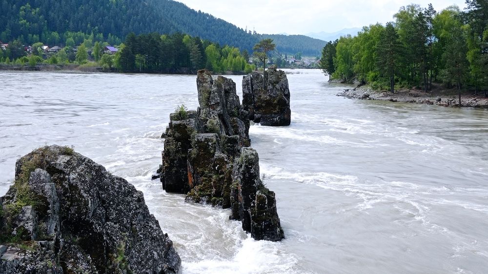 Зубы дракона