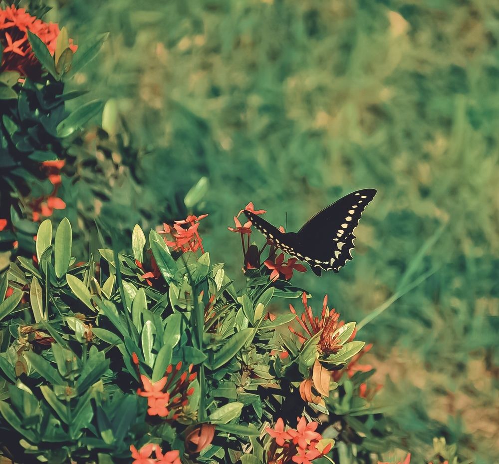 Photograph by Ольга Мукина