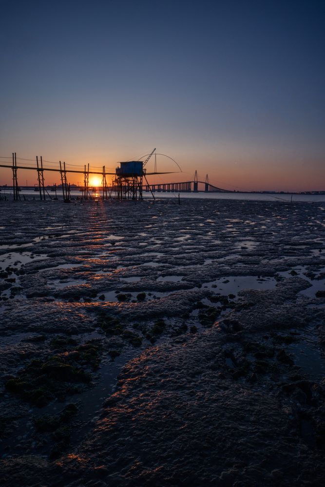 Photograph by amir mimart