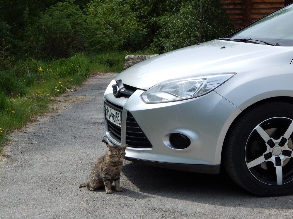 Photograph by Ирина Самойленко