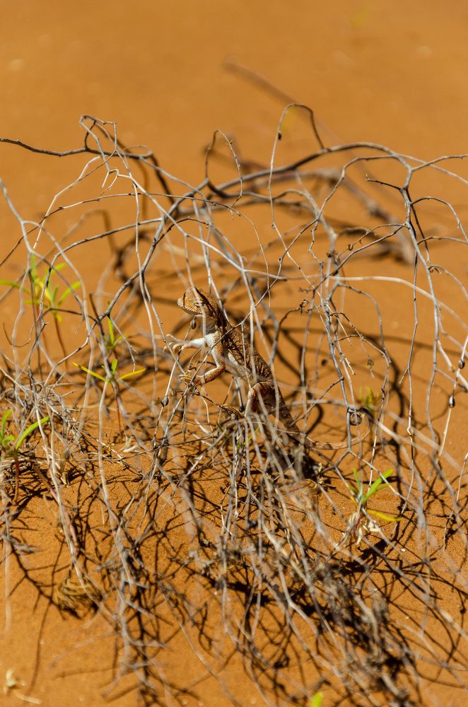 Photograph by Ольга Мукина