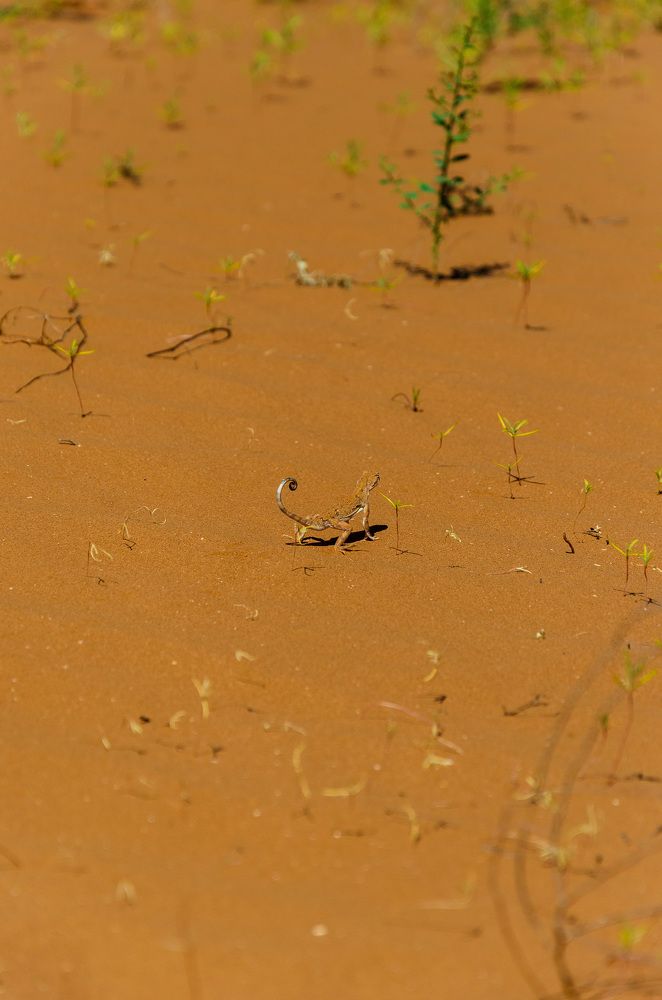 Photograph by Ольга Мукина