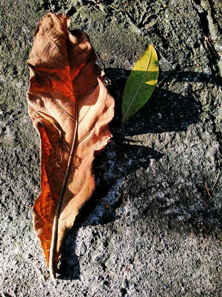 Photograph by Iton Pamungkas