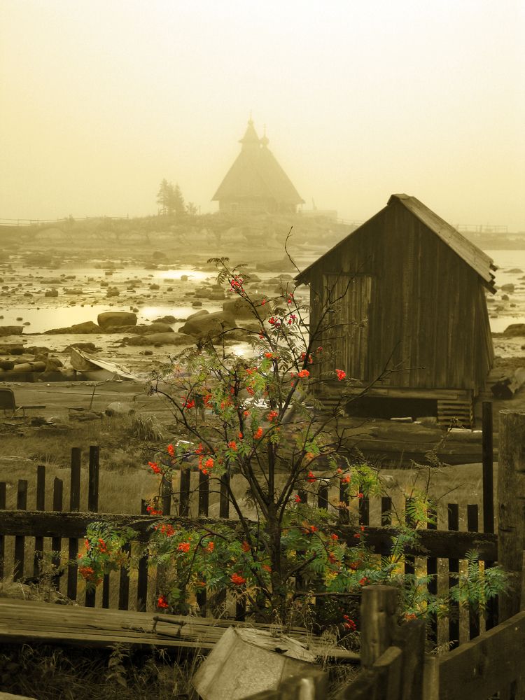 Photograph by Ирина Тынянкина