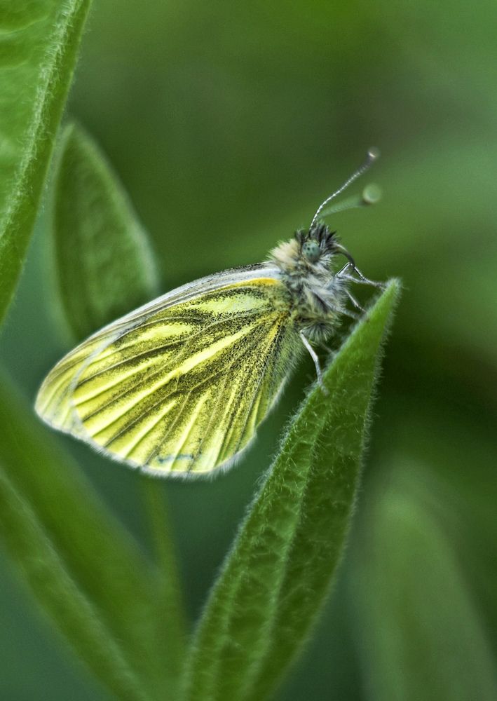 Photograph by Наталья Ткаченко