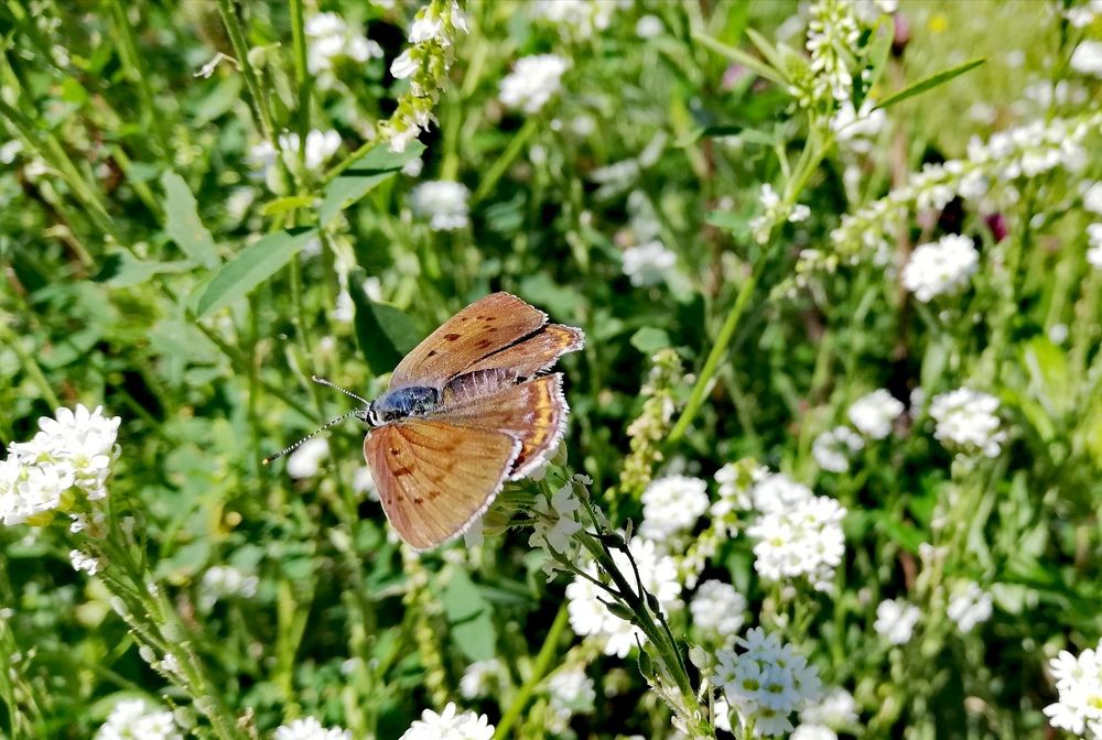 Photograph by Лариса Неудачина